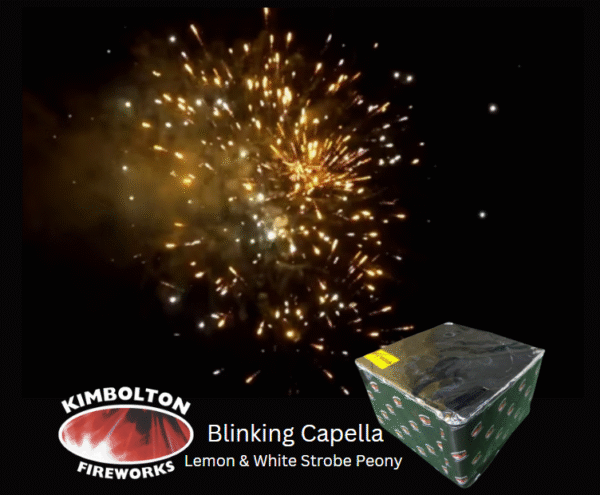 Blinking Capella - 100 Shot Lemon & White Strobe Peony
