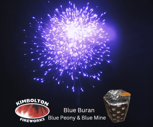 Blue Buran - 19 Shot Blue Peony w/ Blue Mine