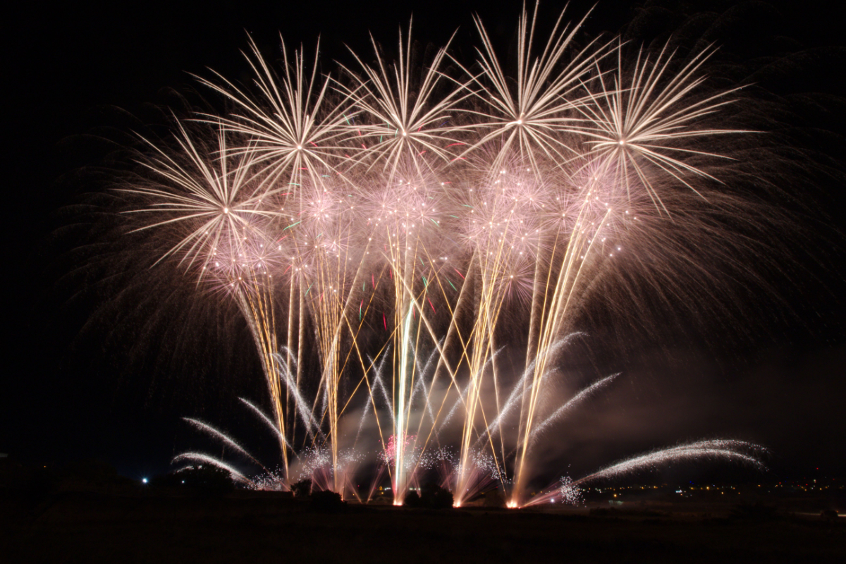 Professional firework display